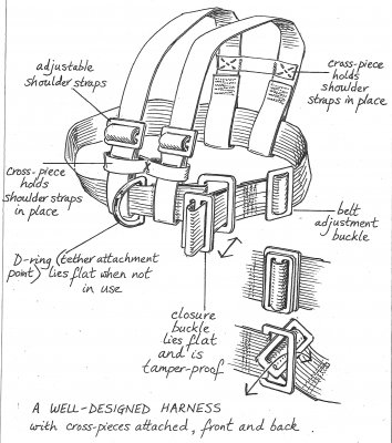 Harness (Illustration)