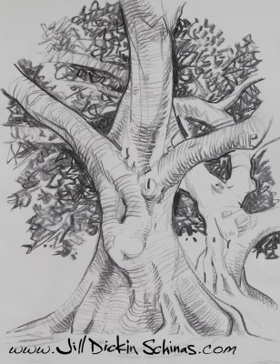 Banyan Tree (Charcoal)