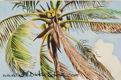 Palm Tree (Detail from Grenada)
