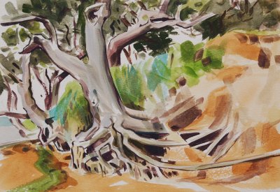 Oak Trees on the foreshore