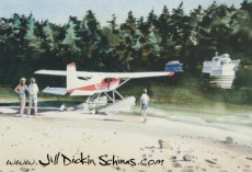 Float-plane on the beach