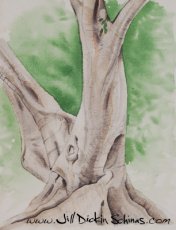 Banyan Tree