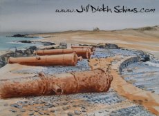 Cannons on Sal Rei