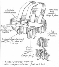 Harness (Illustration)