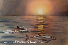 Dolphins at Sunset (I)