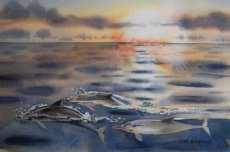 Dolphins at Sunset (II)