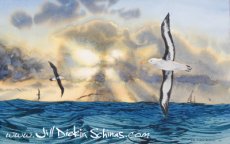 Seascapes
