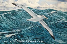 Albatross (The Wanderer)