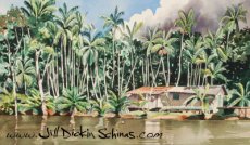 Amazon River