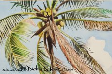 Palm Tree (Detail from Grenada)