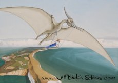 Pteranadon Hang-glider