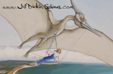 Pteranadon Hang-glider (Detail)