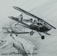 Biplanes over the Isle of Wight