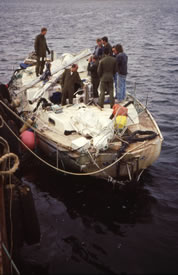 Our heroes from the RAF survey the wreckage of Maamari